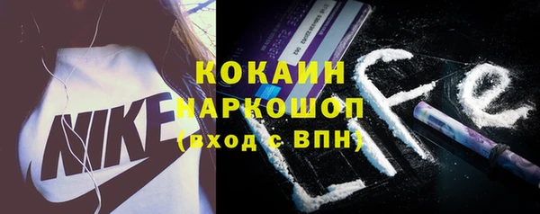 дживик Алзамай